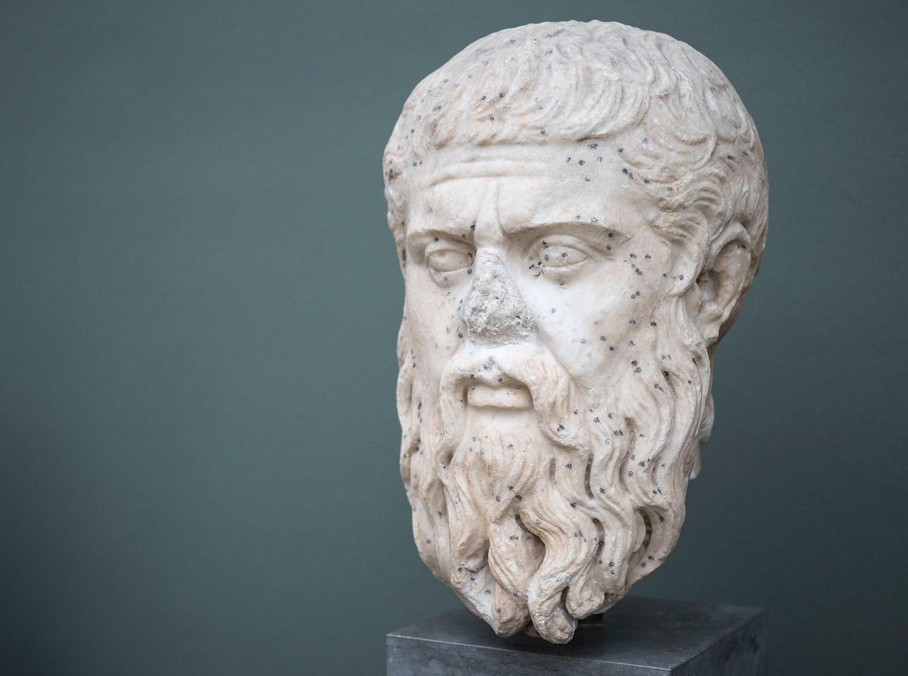 Plato: The Philosopher of Ideas